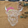 Highlandkuh – Bild 8