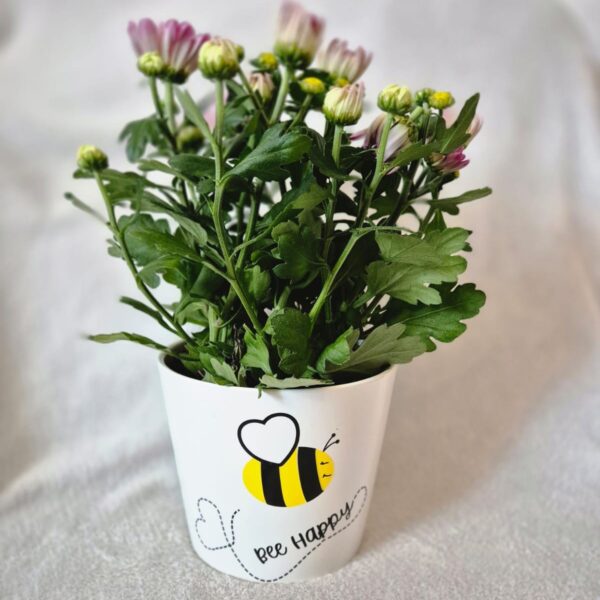 Bee Happy – Bild 12
