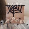 Spooky Spider Laser – Bild 2