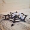 Spooky Spider Laser – Bild 4