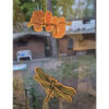 Dragonfly Laser – Bild 2